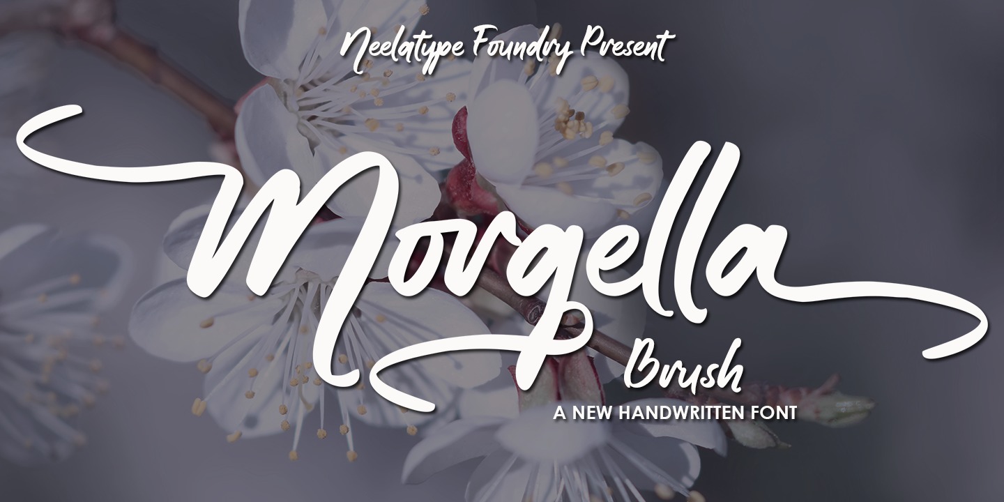 Пример шрифта Morgella Brush #1